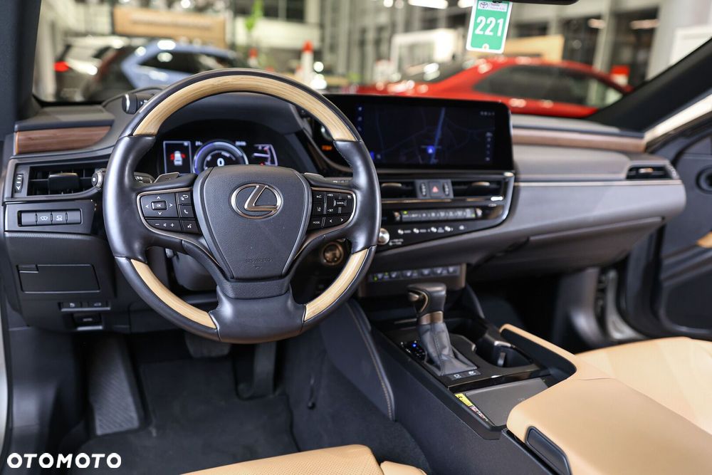 Lexus ES 300h Omotenashi - 32