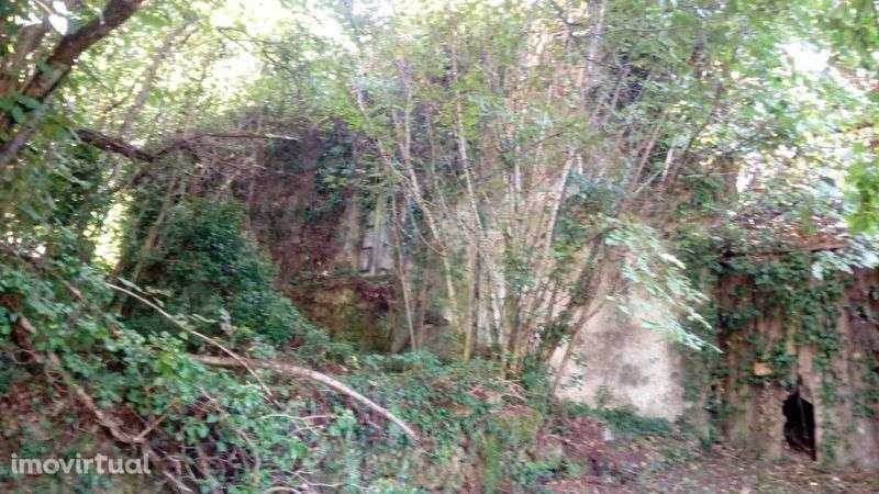 Quinta da Póvoa da Medronhosa, Repeses e São Salvador, Viseu - Grande imagem: 4/11