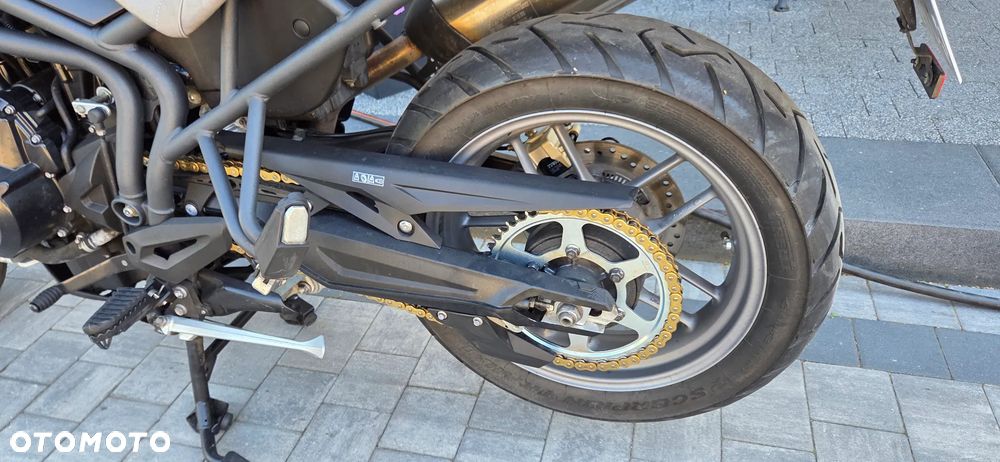 Triumph Tiger - 20