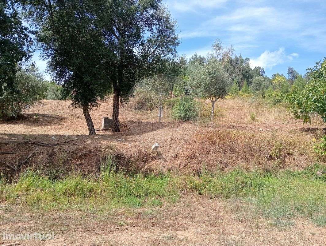 Terreno  para venda - Grande imagem: 5/6