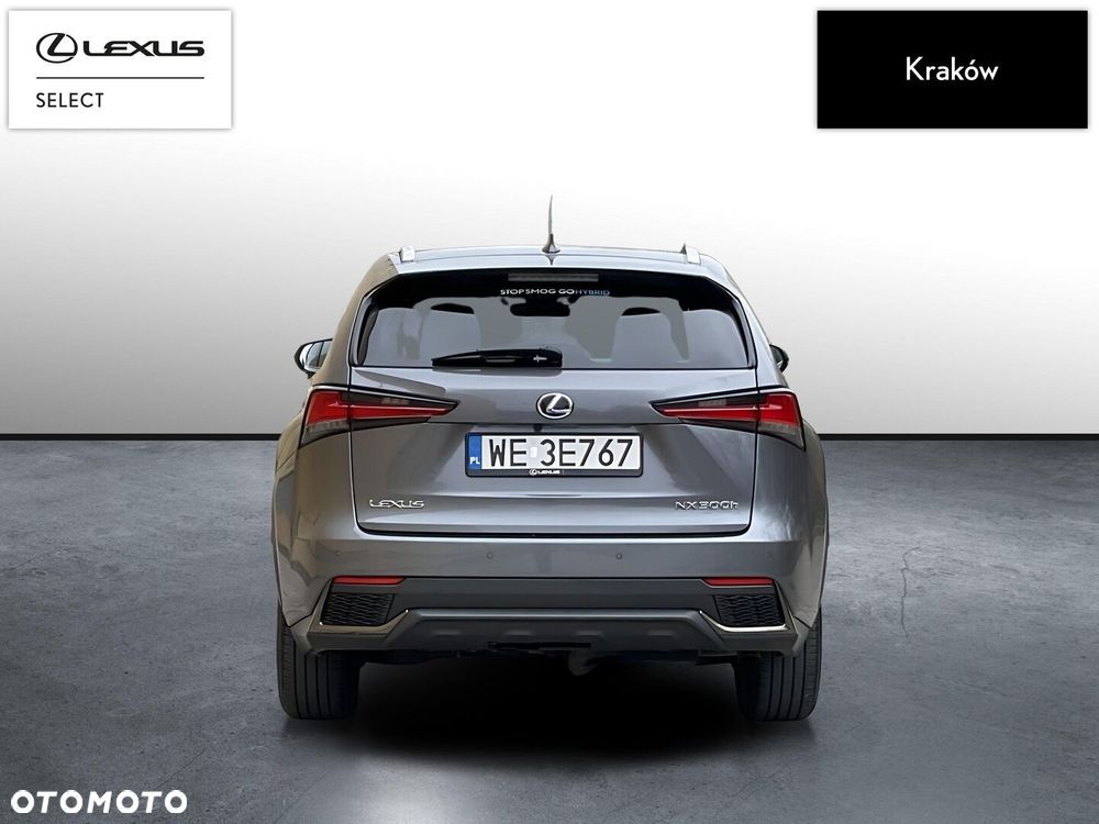 Lexus NX 300h F Sport Edition AWD - 4