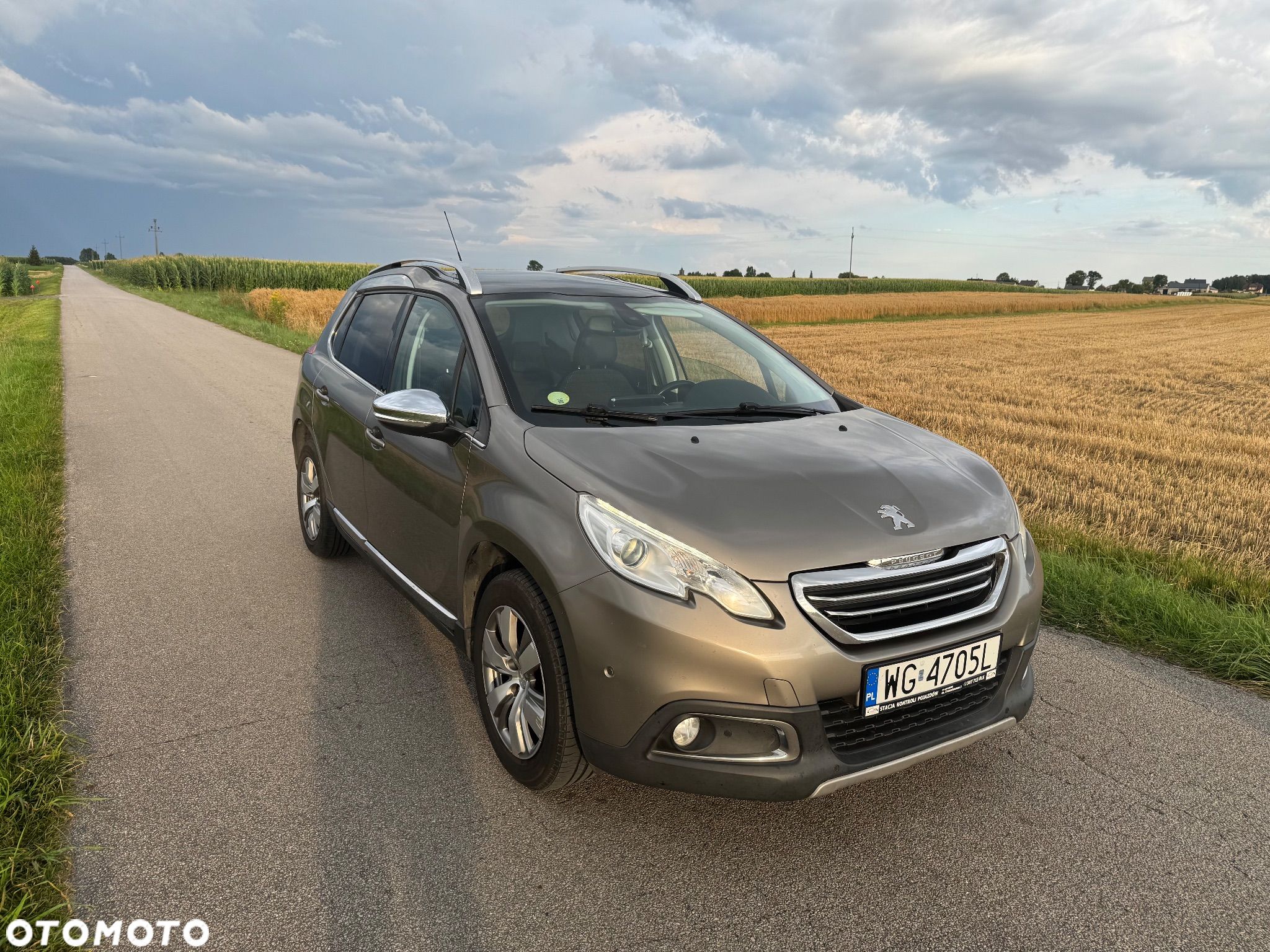 Peugeot 2008 - 1