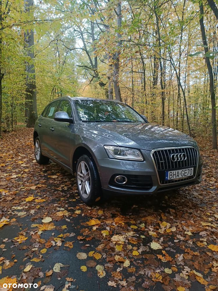 Audi Q5 2015 photo 2