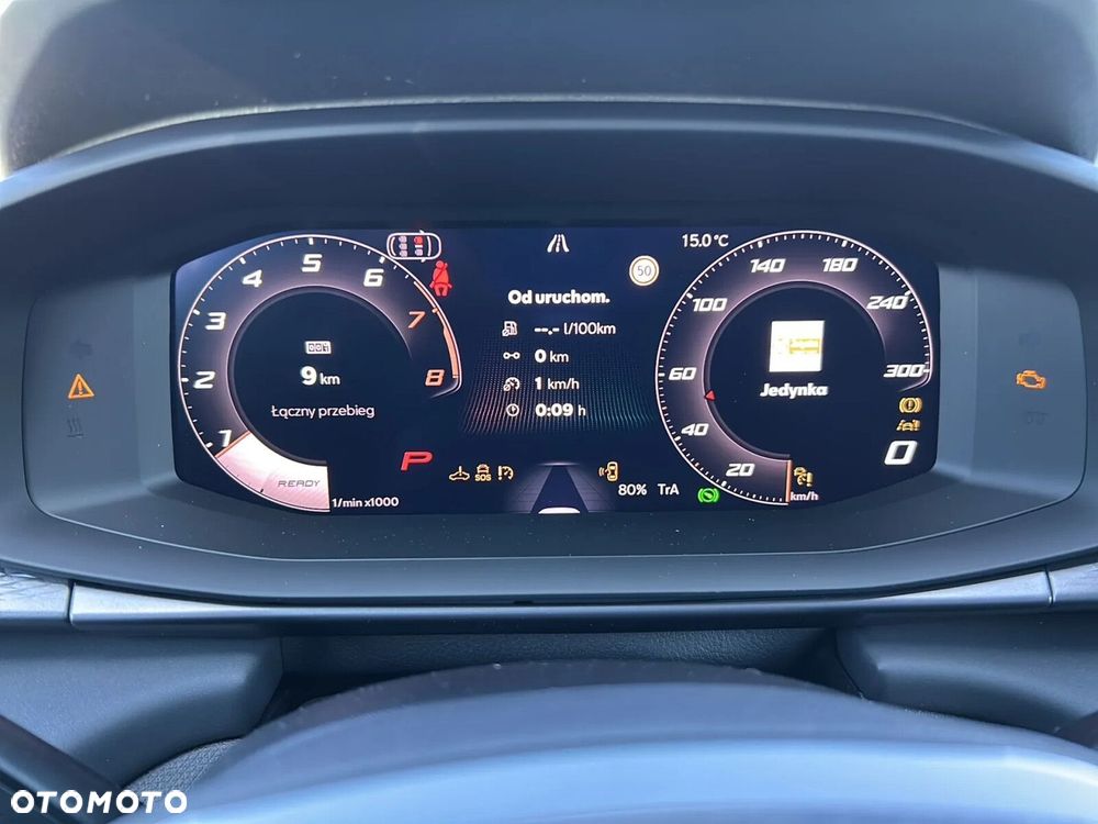Cupra Terramar - 17