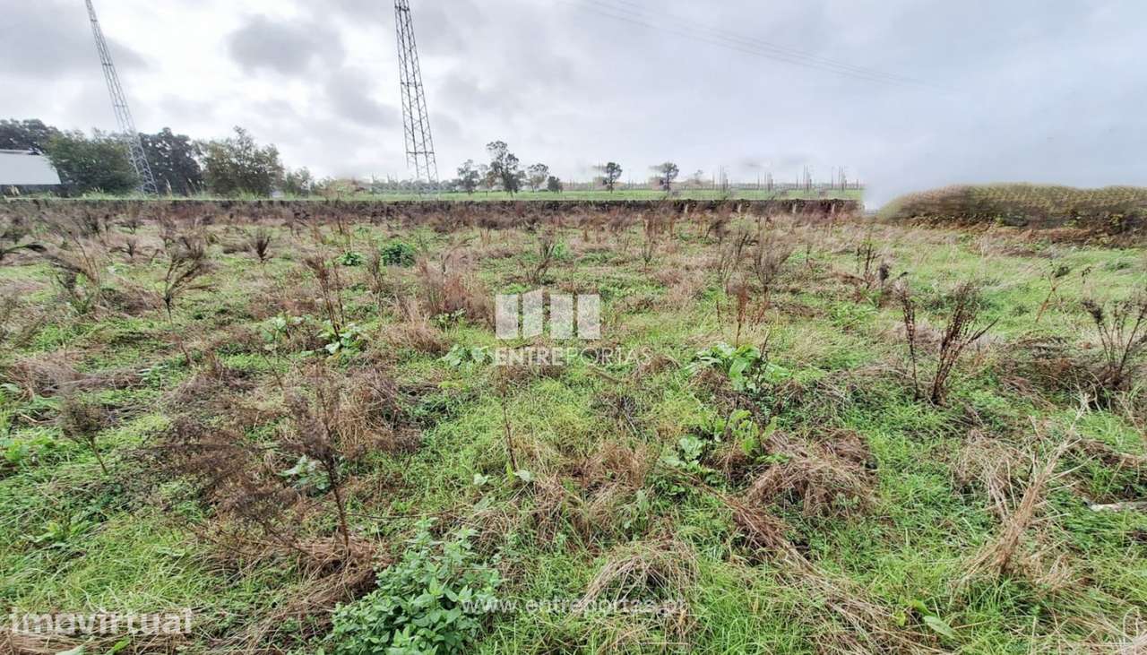 Venda de Terreno com 2600 m2, Vila Nova da Telha, Maia - Grande imagem: 3/11
