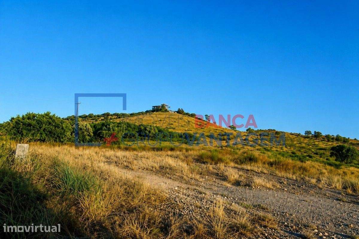 TERRENO SANTARÉM - Grande imagem: 4/8