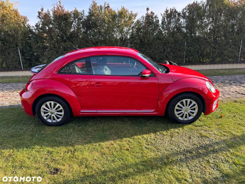 Volkswagen Beetle - 4
