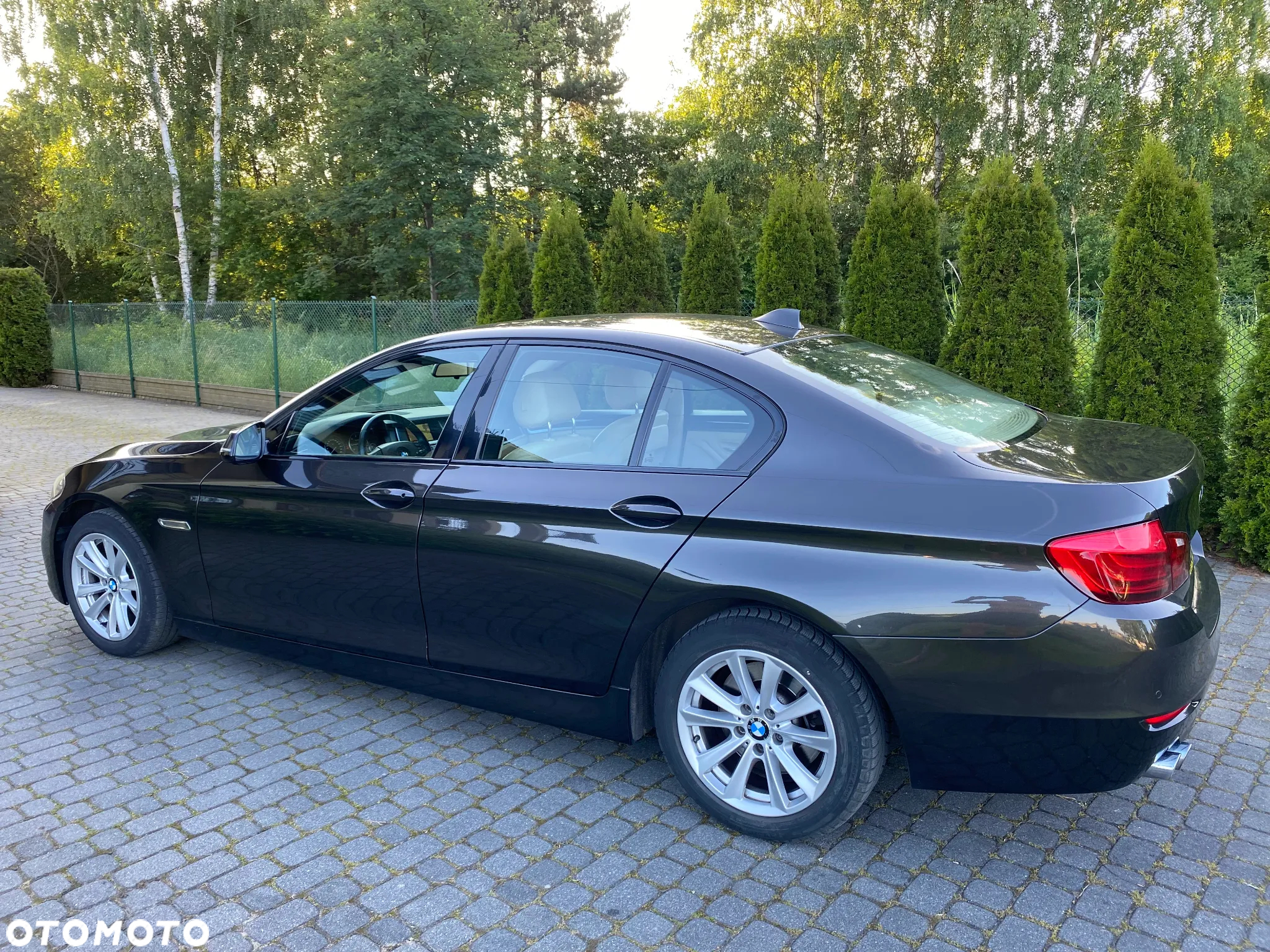 BMW Seria 5 520d - 8