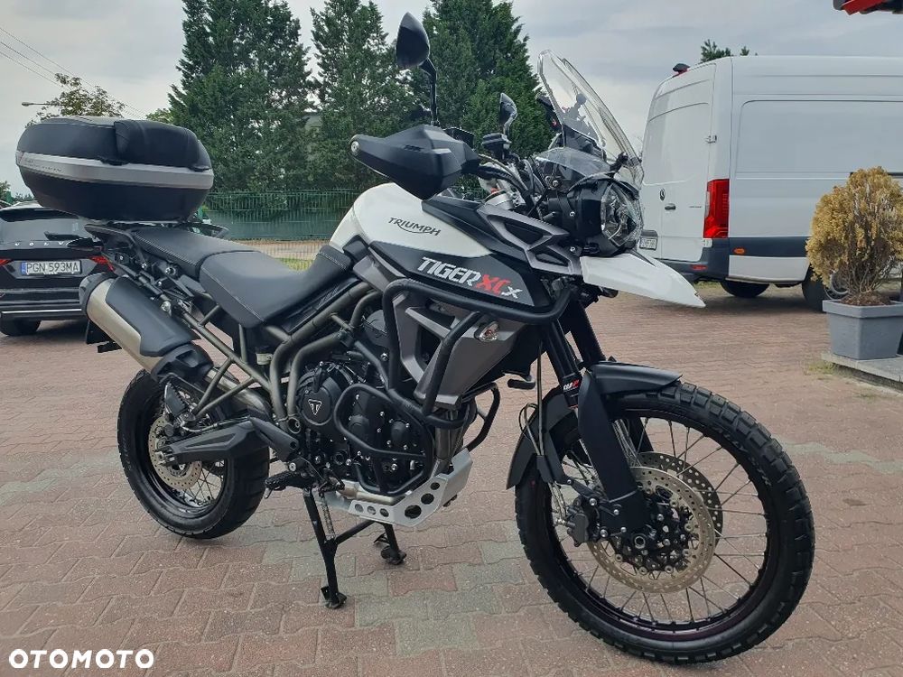 Triumph Tiger - 23