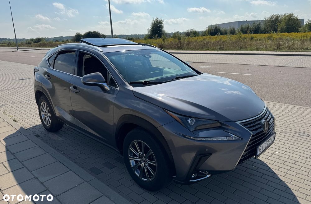 Lexus NX 300 - 16