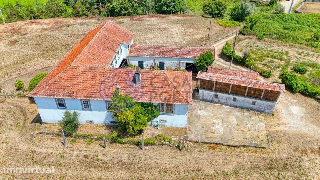 Quinta de Gião — um lugar com história, um Coração, na Rua da Paz, a a - Grande imagem: 5/60