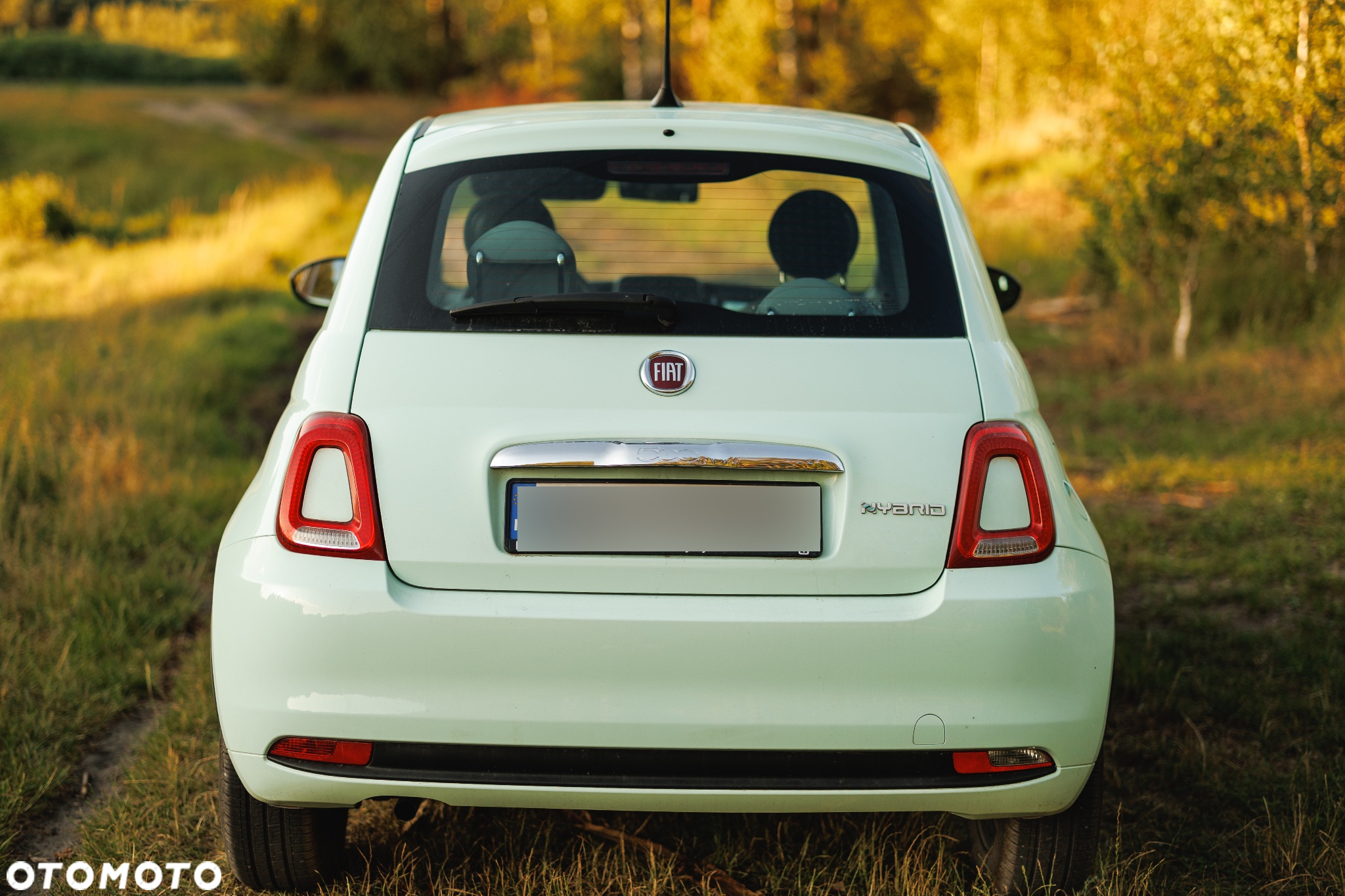Fiat 500 1.0 Hybrid Pop - 6