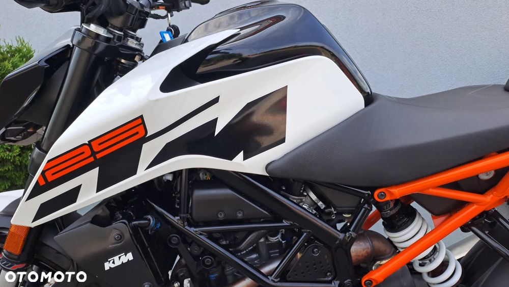 KTM Duke - 29