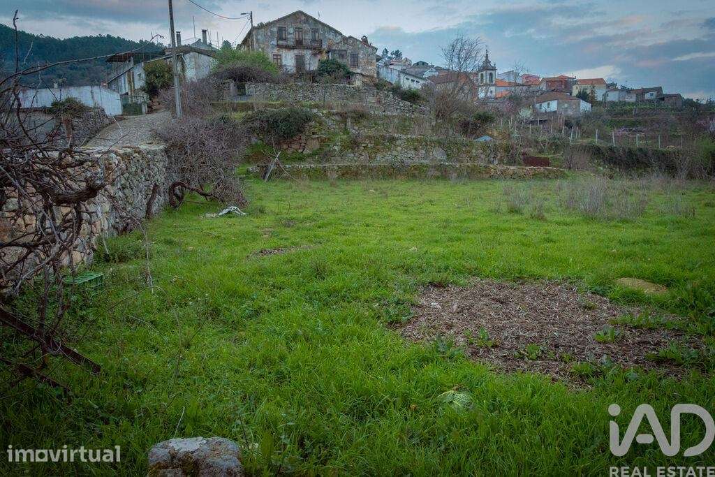 Prédio T6 em Longa de 763,00 m2 - Grande imagem: 2/30