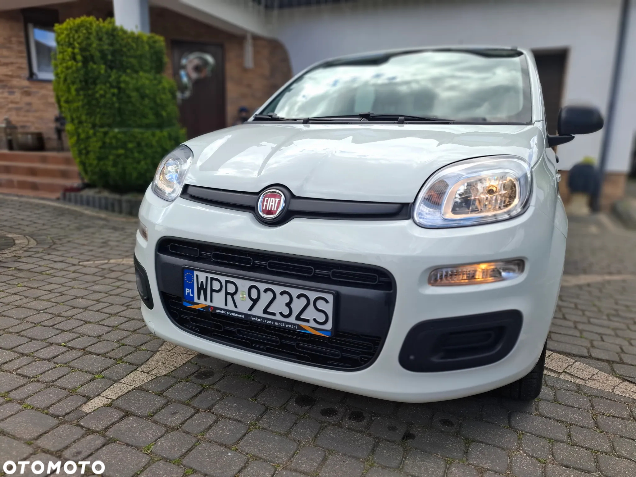 Fiat Panda - 2