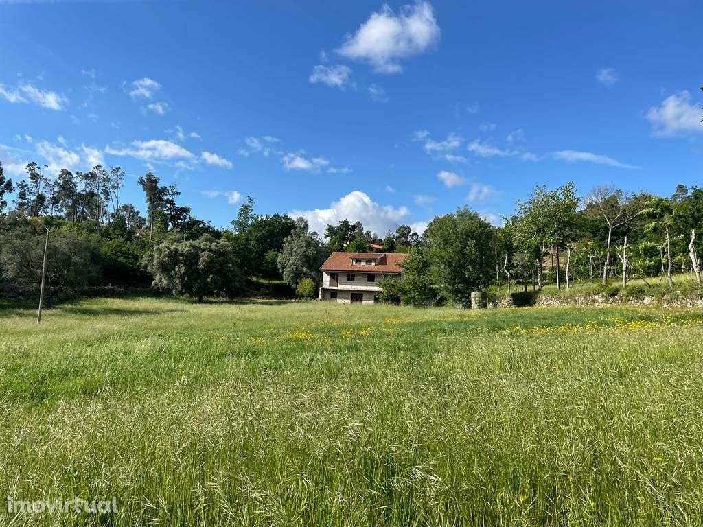 Quinta em Ribeira de Pena - Grande imagem: 2/40