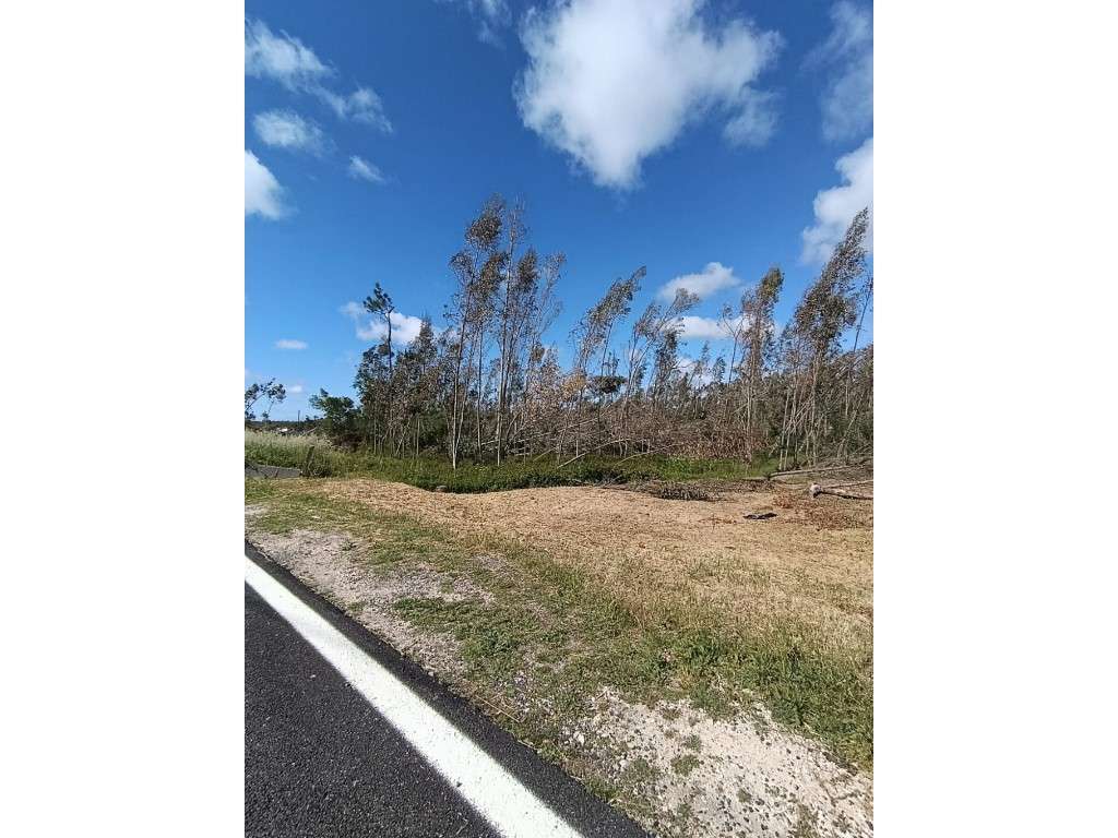 Terreno para construção - Grande imagem: 2/3