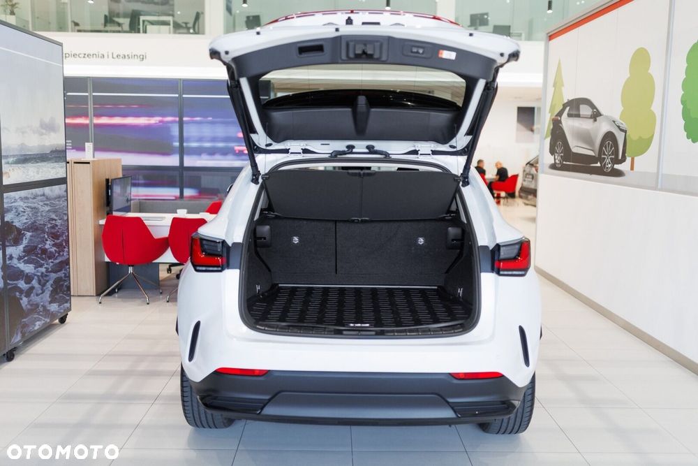 Lexus NX - 26