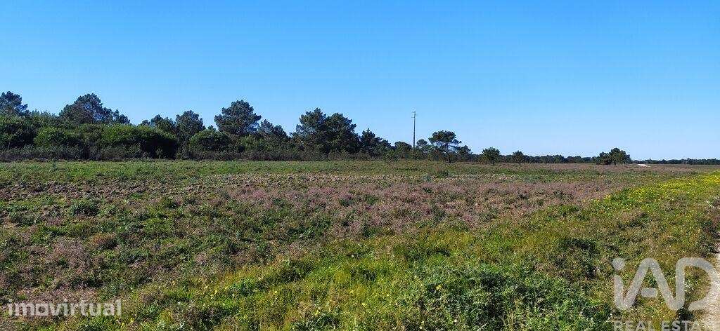 Terreno T1 em Vila do Bispo e Raposeira de 235534,00 m2 - Grande imagem: 4/25