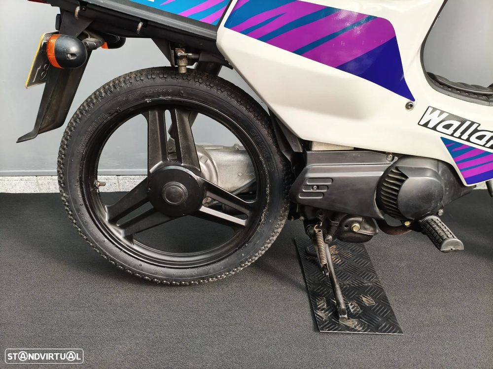 Honda 50 Wallaroo 50 - 6