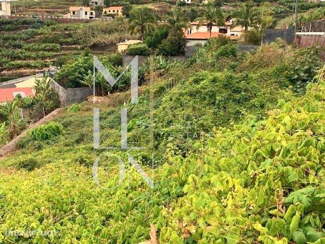Terreno 1090m2 | Vista mar | Ribeira Brava - Grande imagem: 3/6