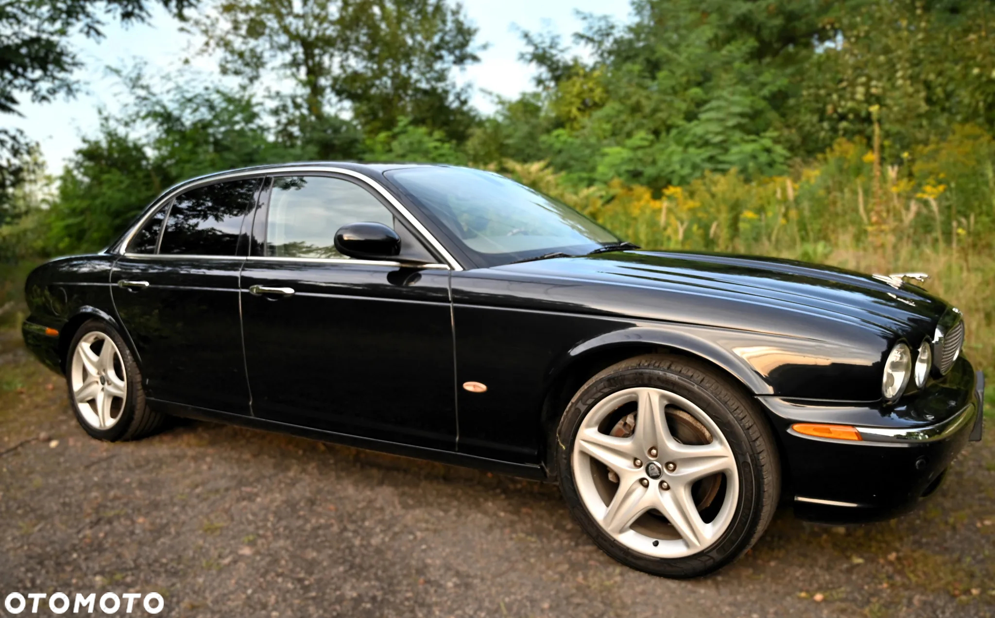 Jaguar XJ XJ8 4.2 Executive - 15