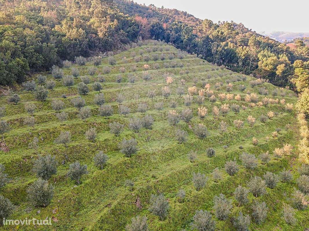 Quinta T3 para venda - Grande imagem: 5/47