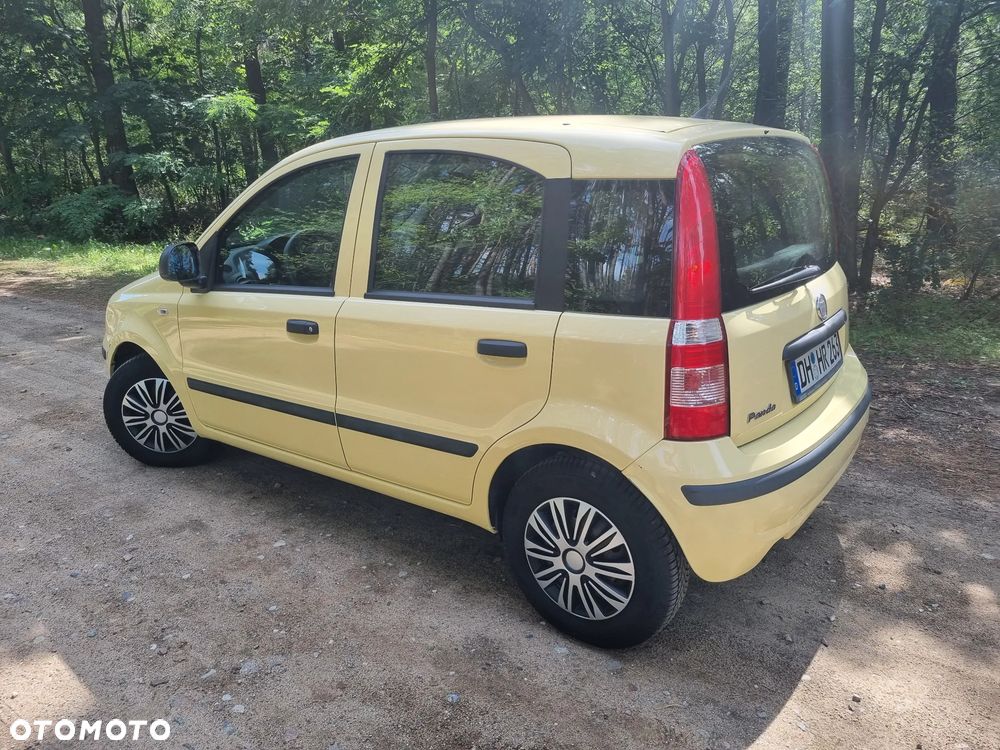 Fiat Panda 1.2 Active - 21