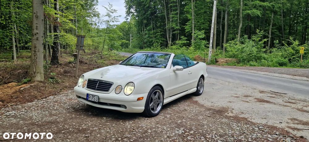 Mercedes-Benz CLK 430 - 13