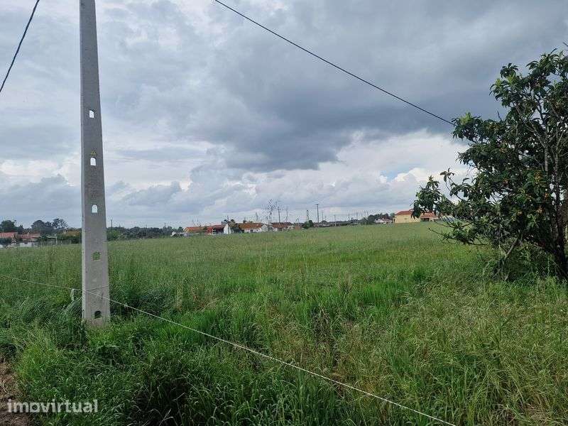 Terreno em Salvaterra de Magos