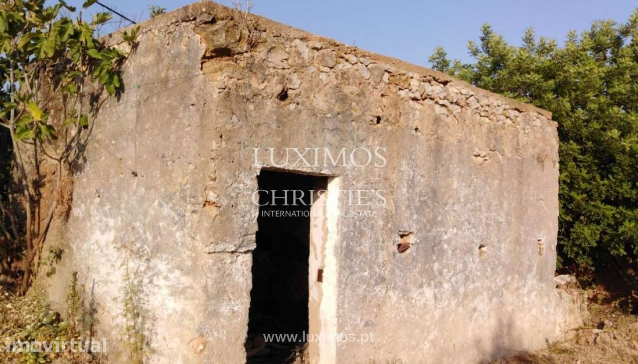 Quinta com pomar e ruína, Luz de Tavira, Algarve - Grande imagem: 5/14