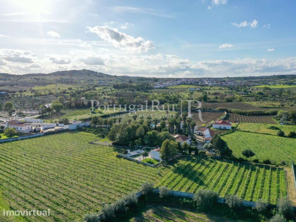 Quinta com 1,7 hectares na Vidigueira com produção agricola - Grande imagem: 2/37