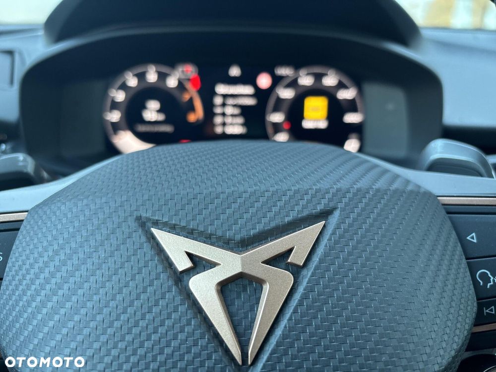 Cupra Terramar - 20