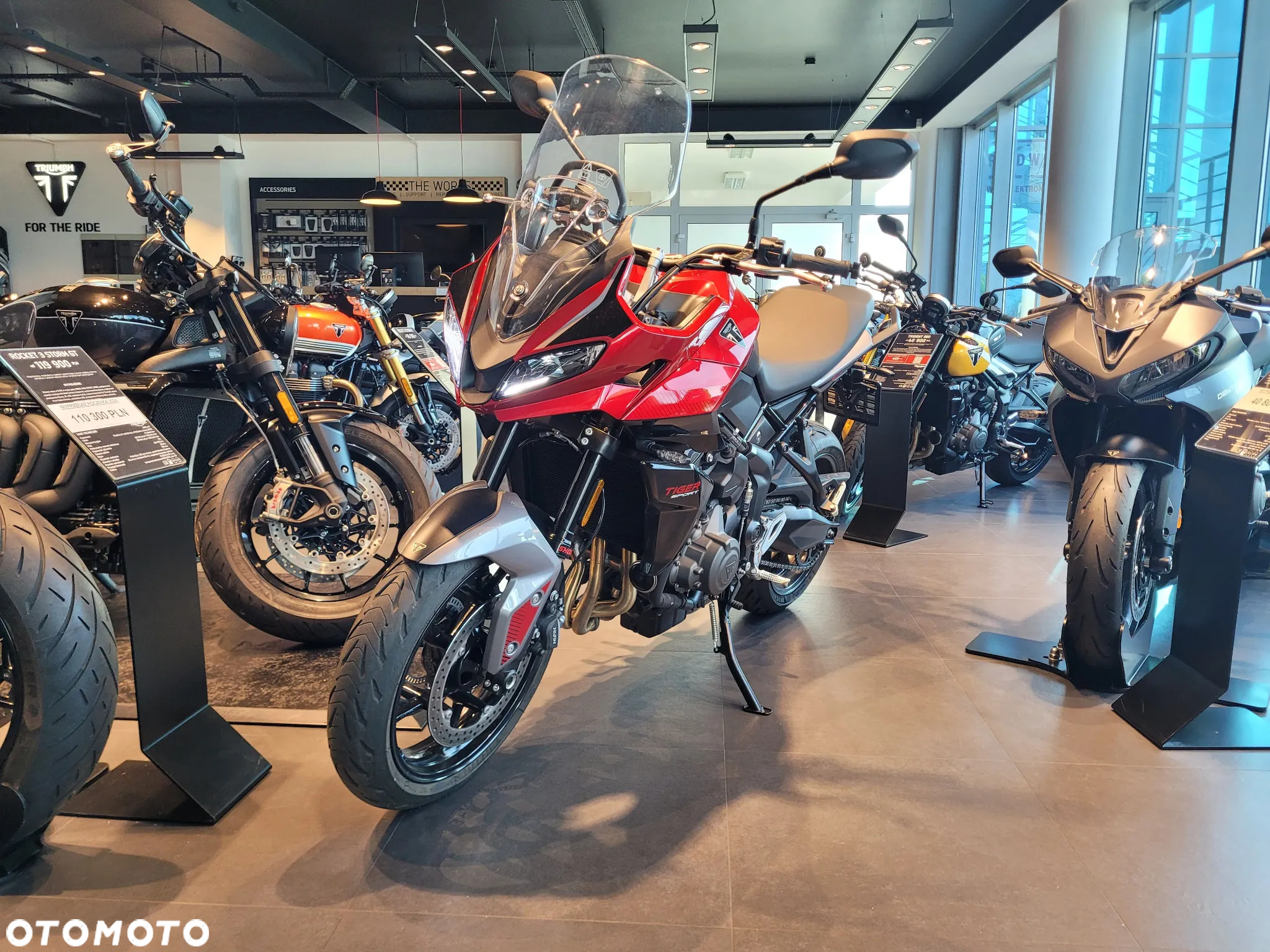 Triumph Tiger