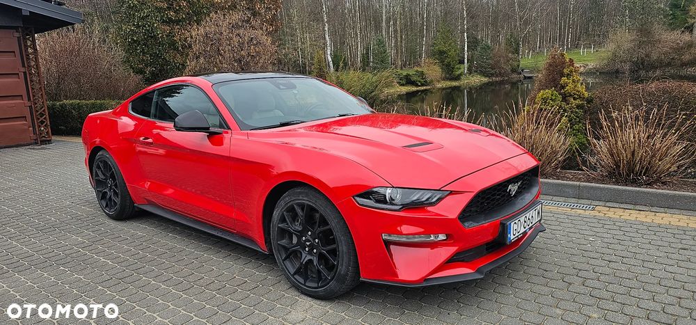 Ford Mustang 2.3 EcoBoost - 11