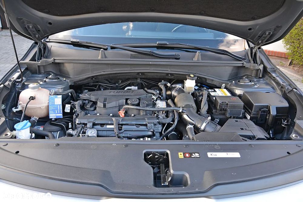 Kia Sportage - 32