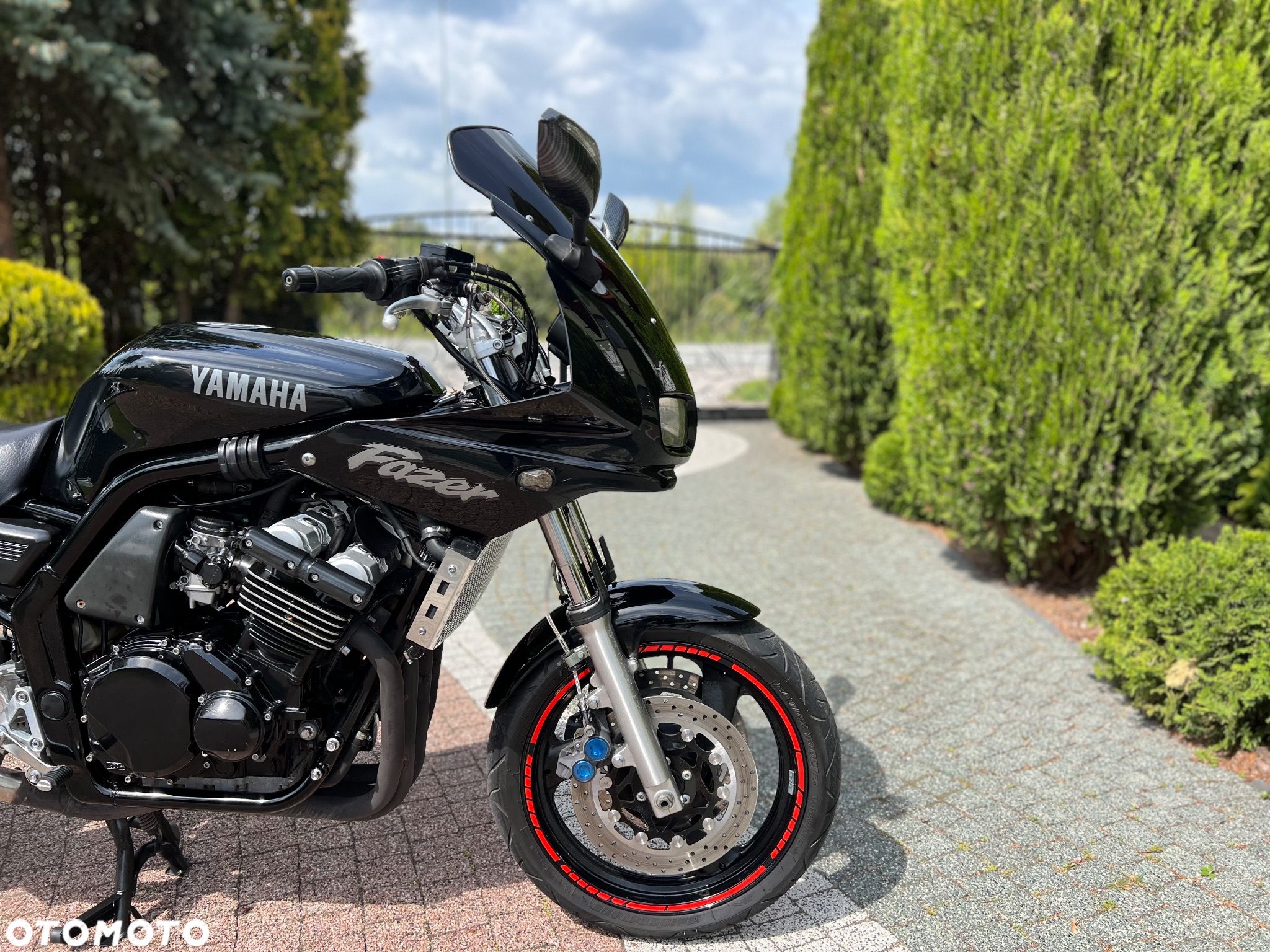 Yamaha FZS - 6