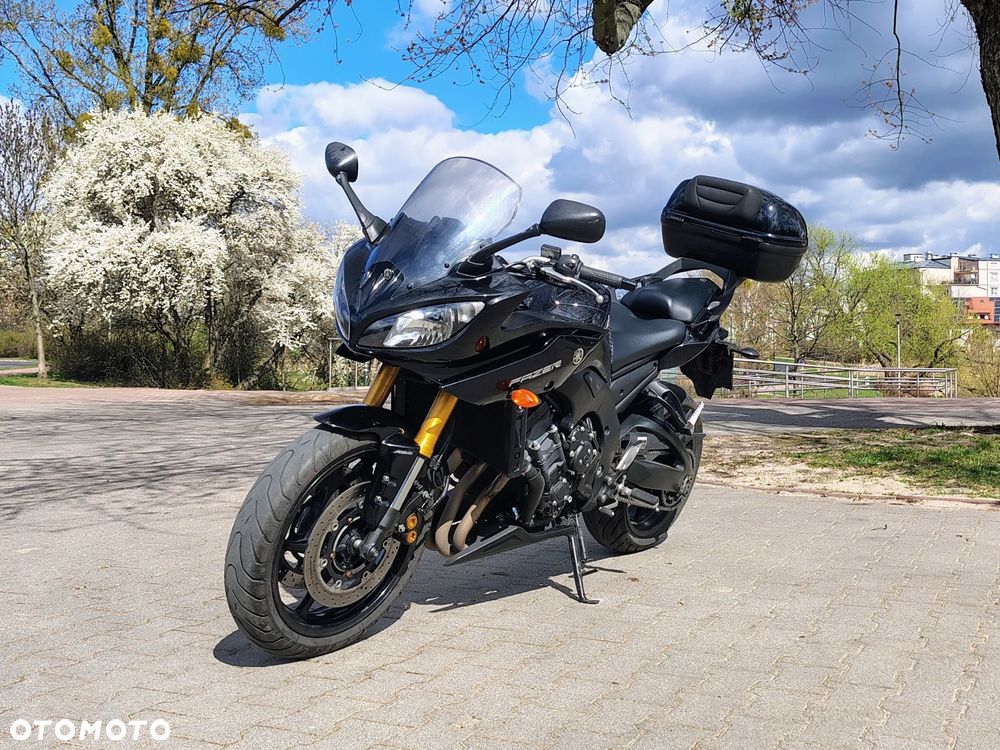 Yamaha FZ8 - 15