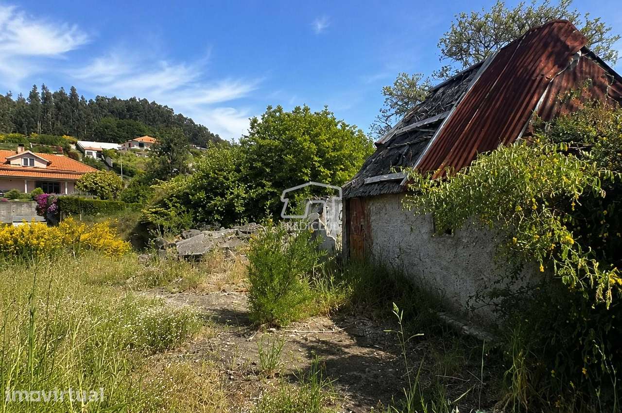 Terreno 2050 m2 - Camacha - Grande imagem: 4/8