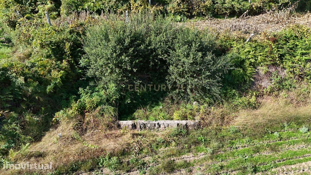 Terreno com Vista Panorâmica em Midões, Barcelos - Grande imagem: 5/14