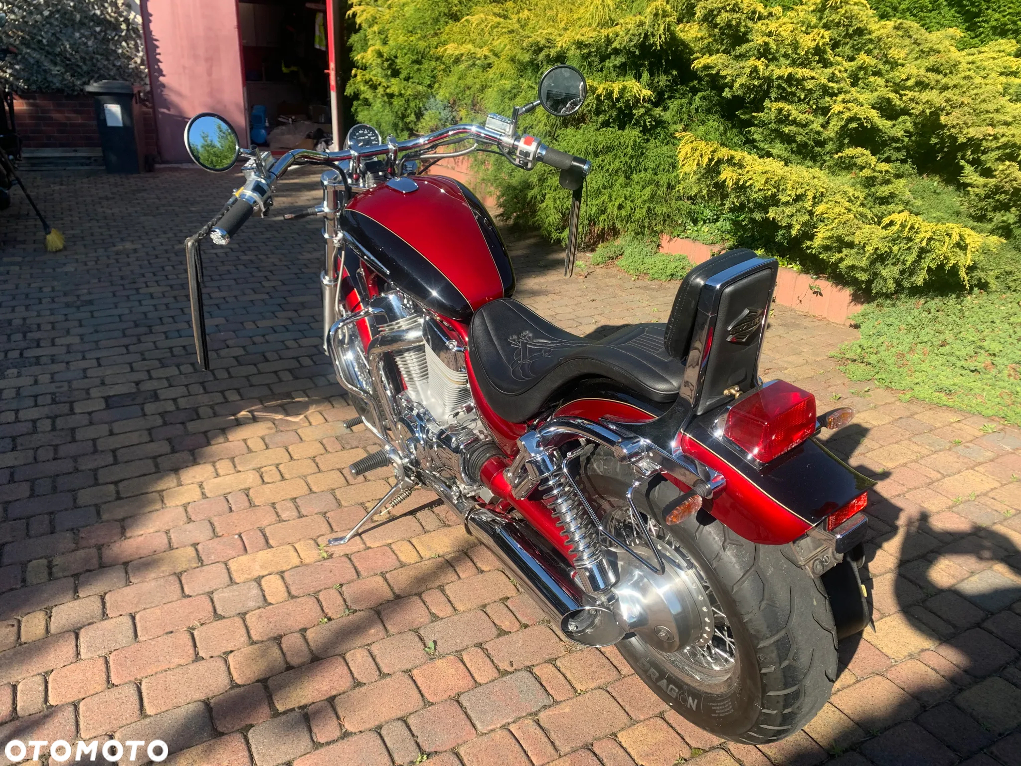 Suzuki Intruder - 6