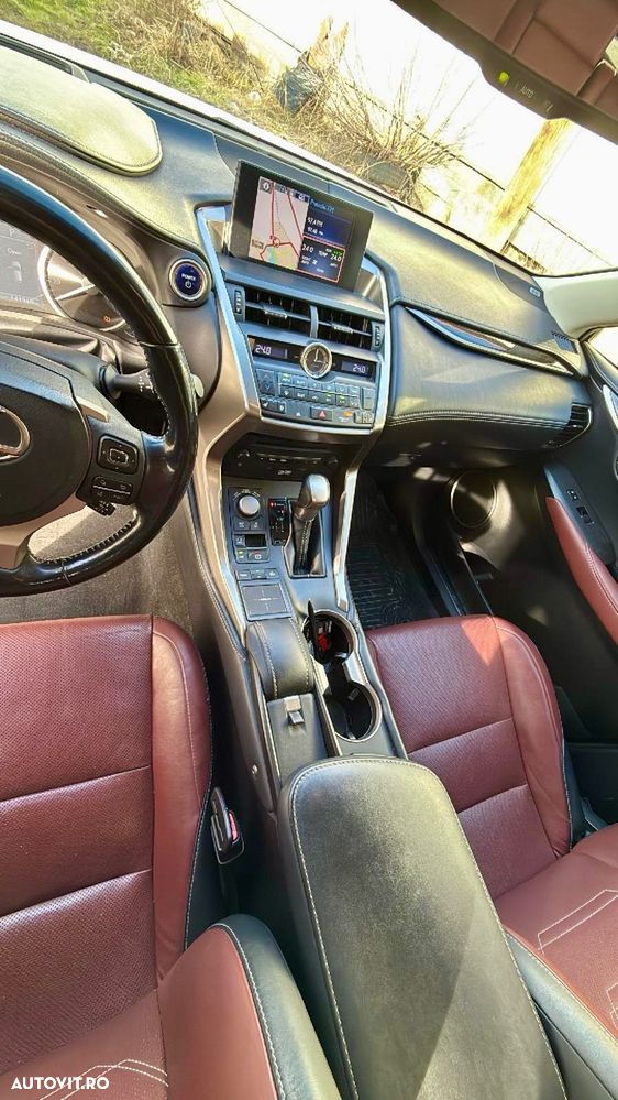 Lexus Seria NX 300h AWD Luxury - 13