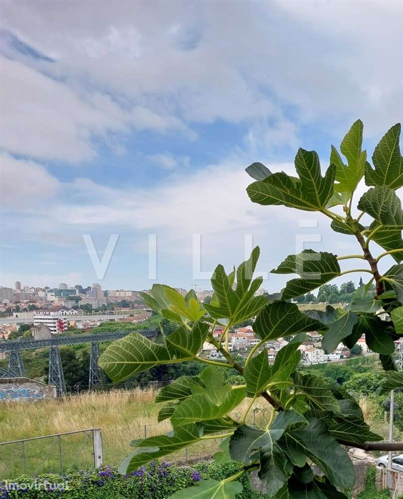T0  Porto novo em Zona Turística - Grande imagem: 4/13