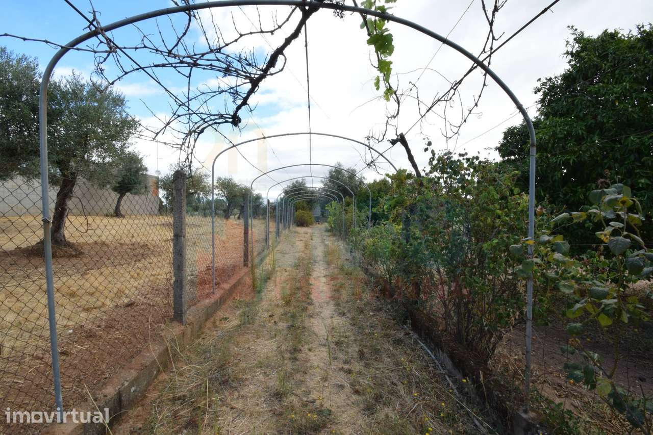 Quinta em Mata - Castelo Branco - Grande imagem: 4/28