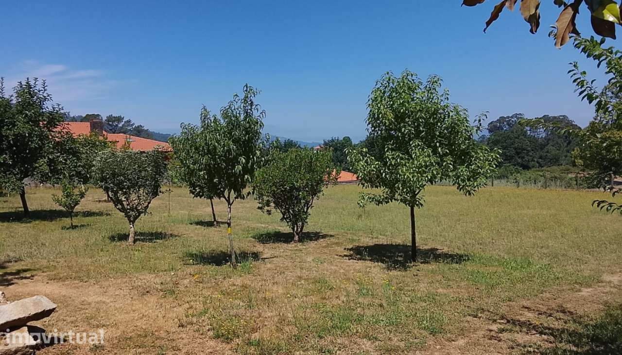 Terreno para venda, Venade, Caminha - Grande imagem: 2/6