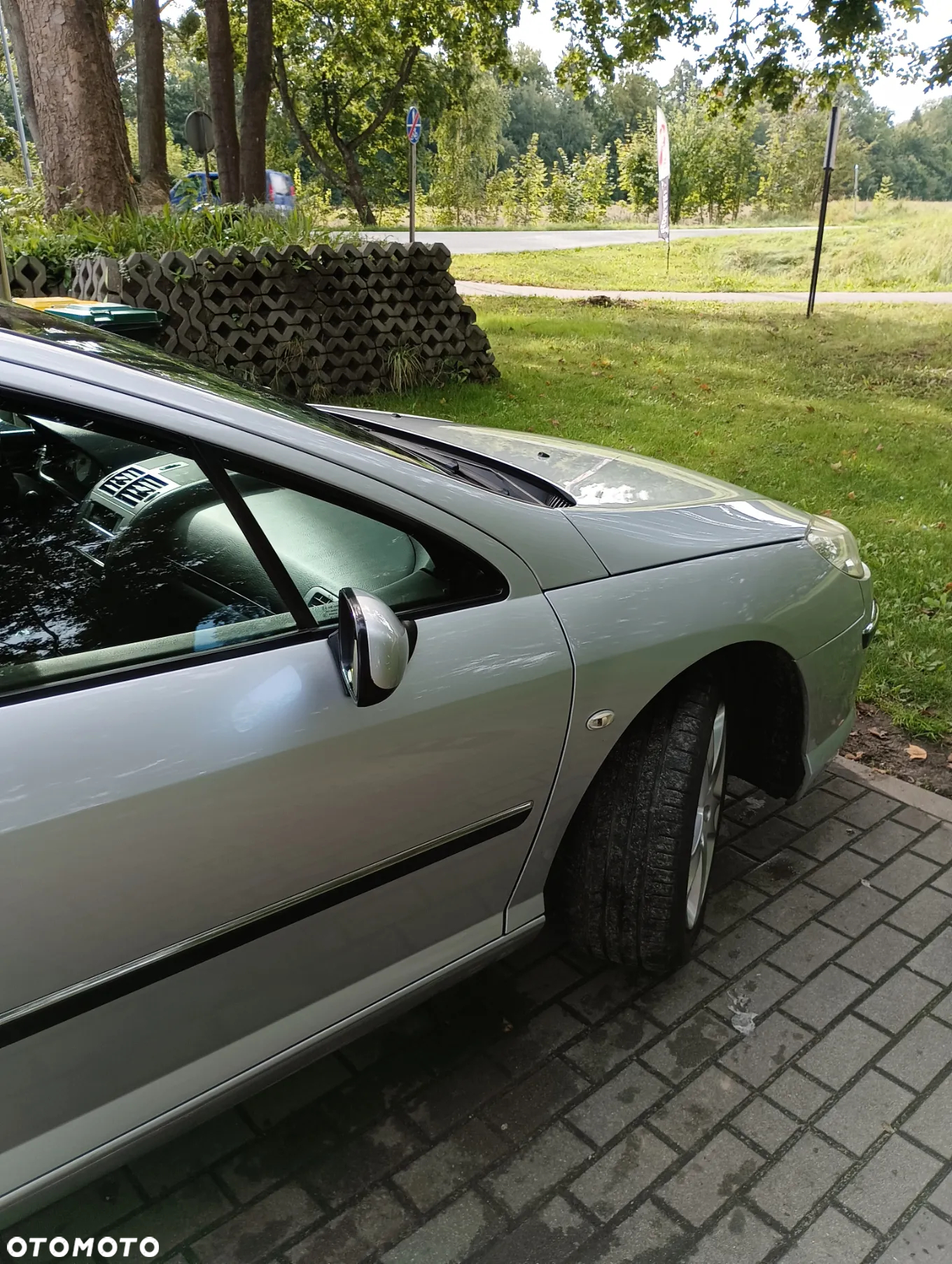 Peugeot 407 2.0 SV Executive - 11