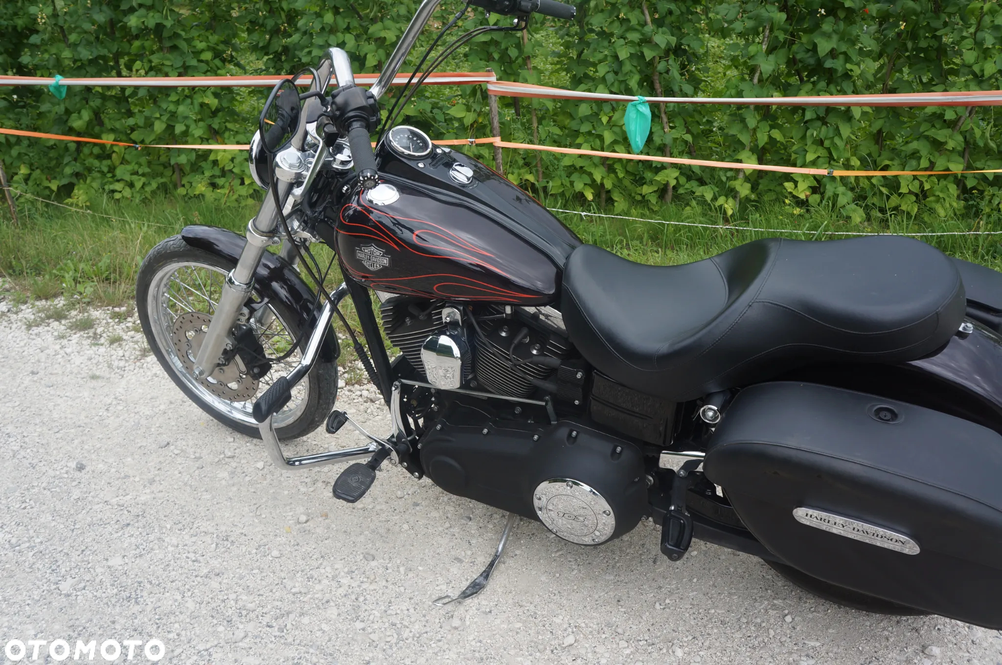 Harley-Davidson Dyna Wide Glide - 2