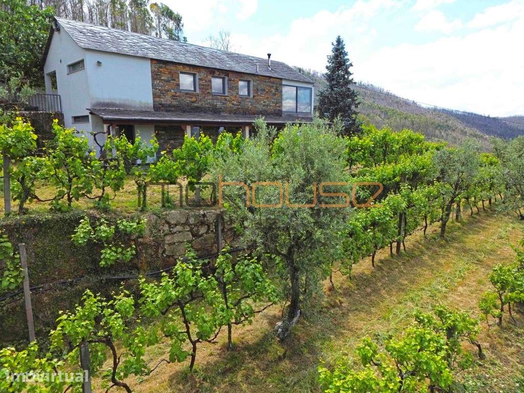 Quinta agrícola - 40 minutos do Porto - Grande imagem: 4/59