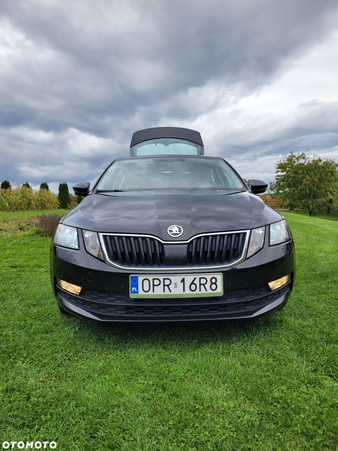 Skoda Octavia 1.6 TDI SCR Ambition - 22