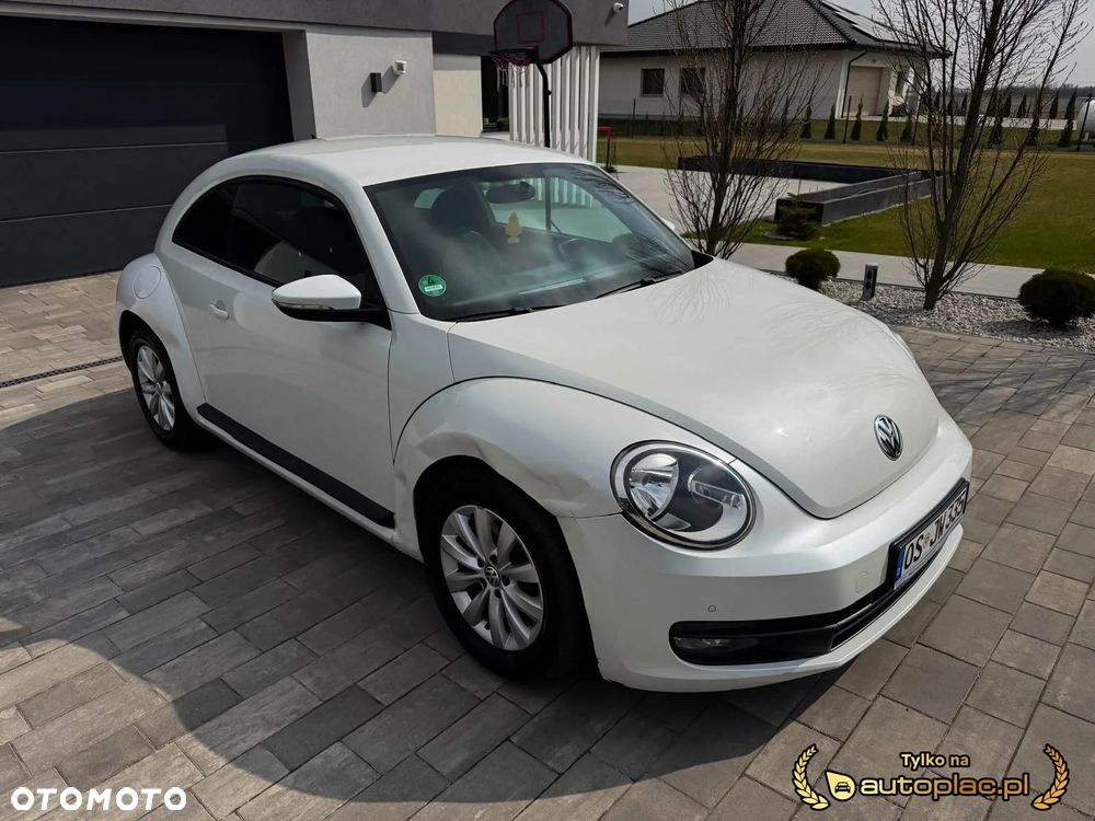 Volkswagen Beetle - 12